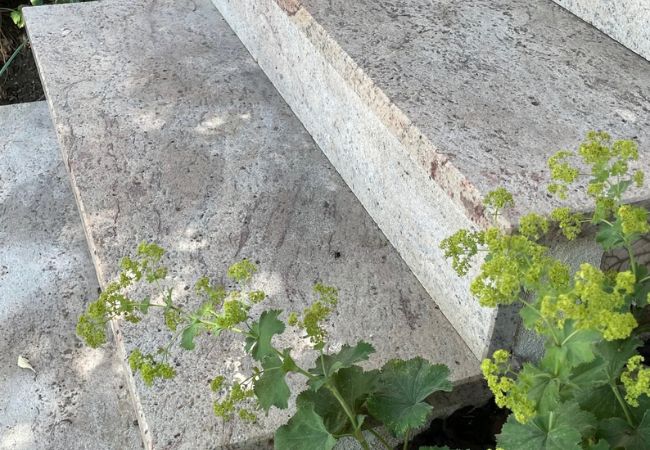 natursteintreppe (2)